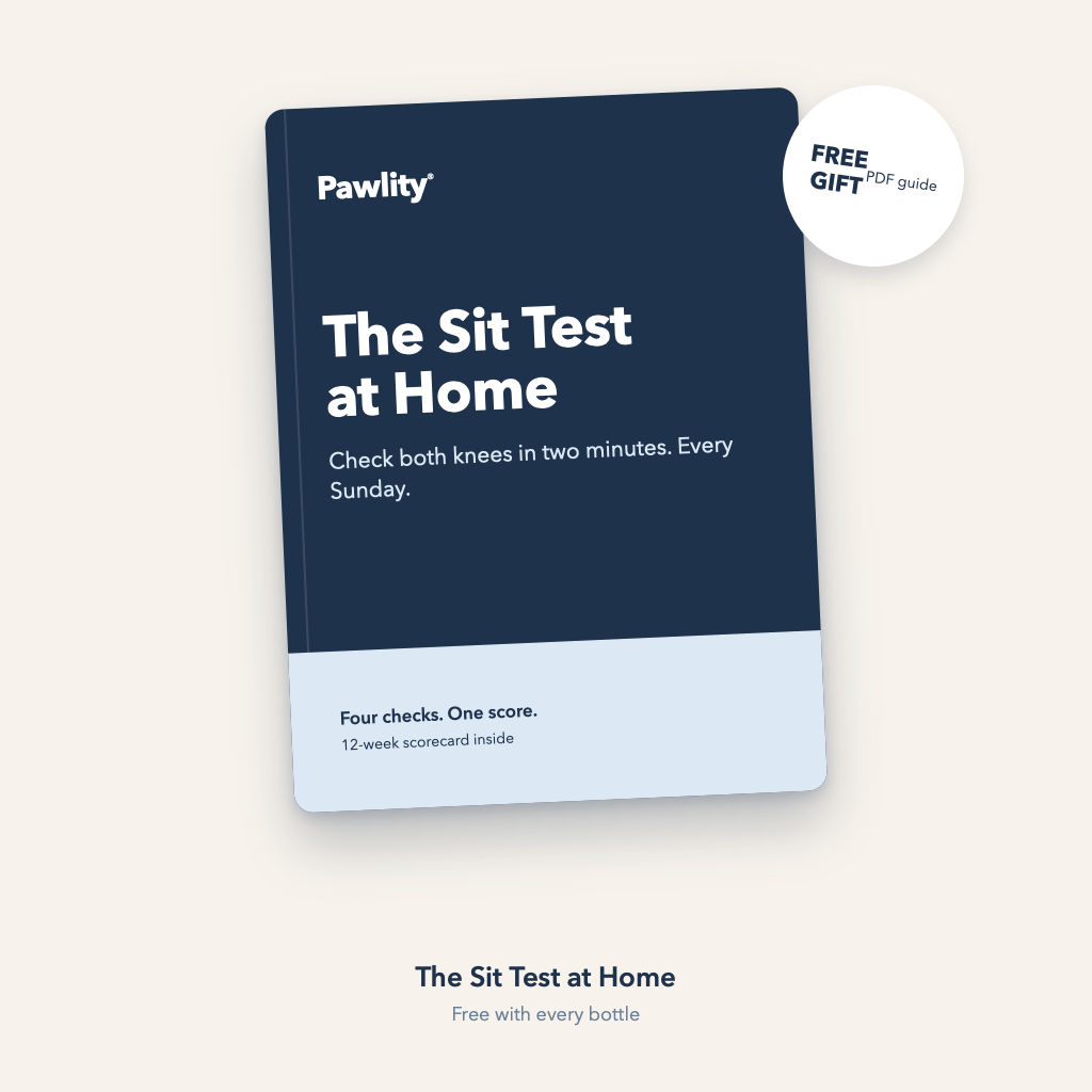 The Sit Test at Home, free Pawlity PDF guide