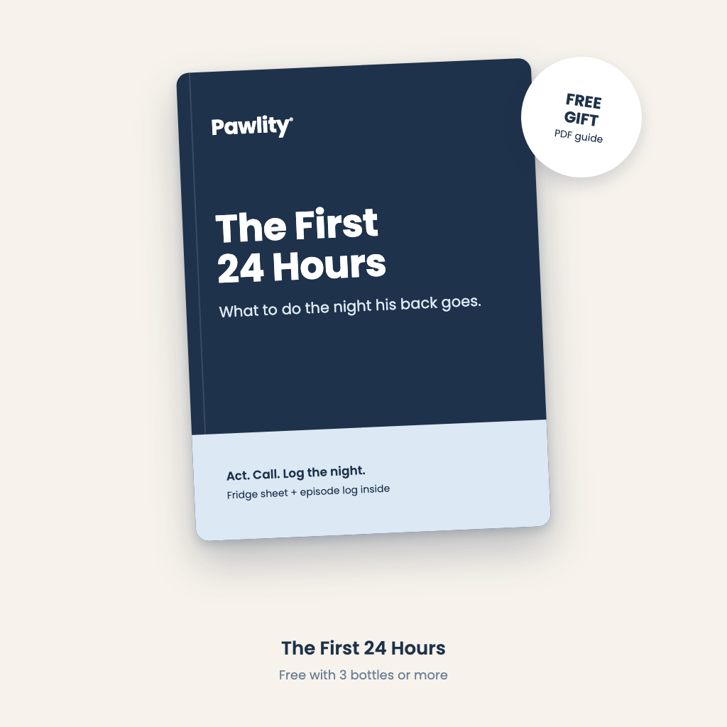 The First 24 Hours, free Pawlity PDF guide