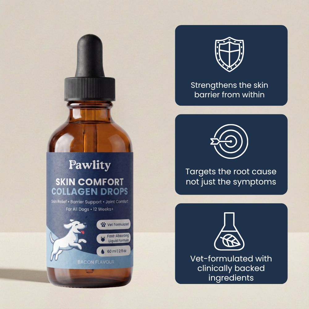 Pawlity® Premium Liquid Collagen