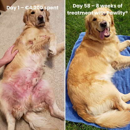 Pawlity® Premium Liquid Collagen