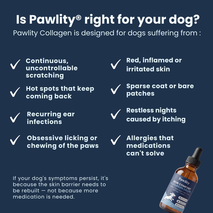 Pawlity® Premium Liquid Collagen
