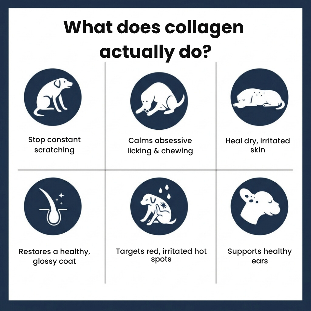 Pawlity® Premium Liquid Collagen