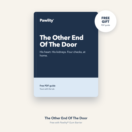 The Other End Of The Door (PDF Guide)