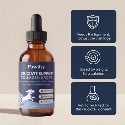 Pawlity® Cruciate Support Collagen Drops: For The Other Knee