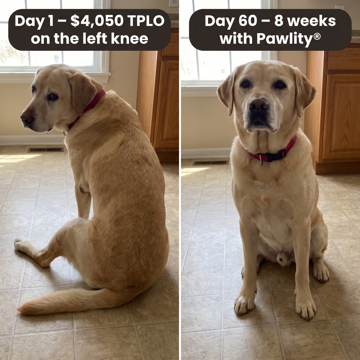cruciate-drops--gallery-02-before-after-sit
