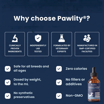 Pawlity® Cruciate Support Collagen Drops: For The Other Knee