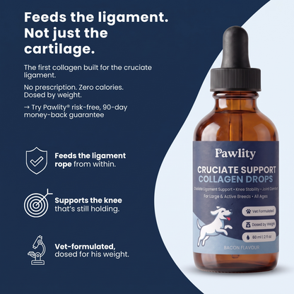 Pawlity® Cruciate Support Collagen Drops: For The Other Knee