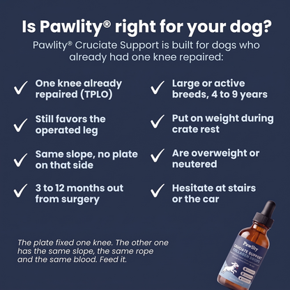 Pawlity® Cruciate Support Collagen Drops: For The Other Knee